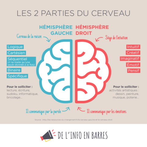 cerveau gauche droit_Plan de travail 1 copie 14